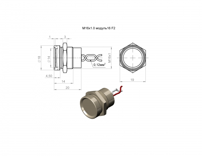     16 F2 AN - W