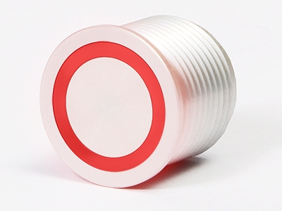     22 R1 AN - W - 12 T